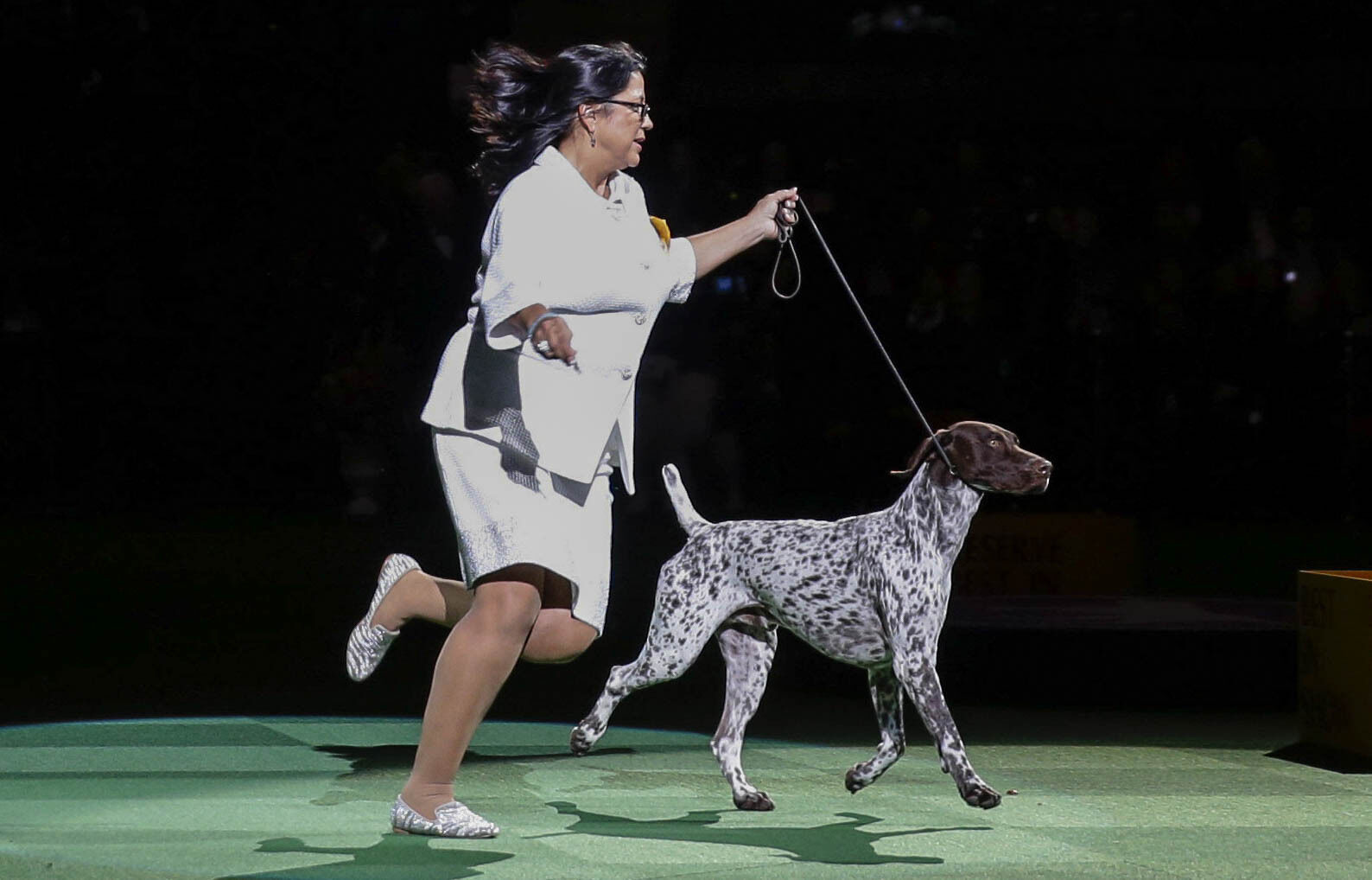 9. German shorthaired pointer